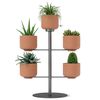 Подставка для цветов Terrapotta с горшками 5 шт, titanium, Umbra, фото 