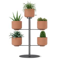 Подставка для цветов Terrapotta с горшками 5 шт, titanium, Umbra, фото 