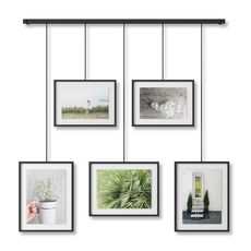 Панно для фотографий Exhibit черное, Umbra, фото 