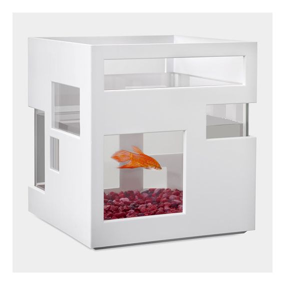 Аквариум Fishhotel, Umbra, фото , изображение 2