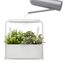Кашпо для комнатных растений Giardino белое, Umbra, фото , изображение 10