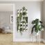 Органайзер настенный Floralink, белый, Umbra, фото , изображение 4