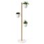Подставка для растений Floristand, Umbra, фото , изображение 5