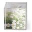 Фоторамка-куб Ice Frame никель, Umbra, фото , изображение 5