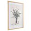 Панно декоративное Plant, 50х70 см, Bergenson Bjorn, фото , изображение 2